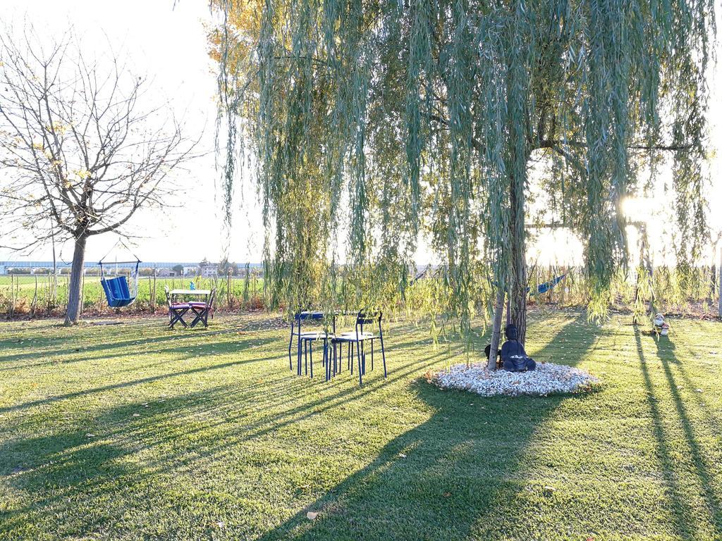 B&B Via Punta 8 ボローニャ エクステリア 写真
